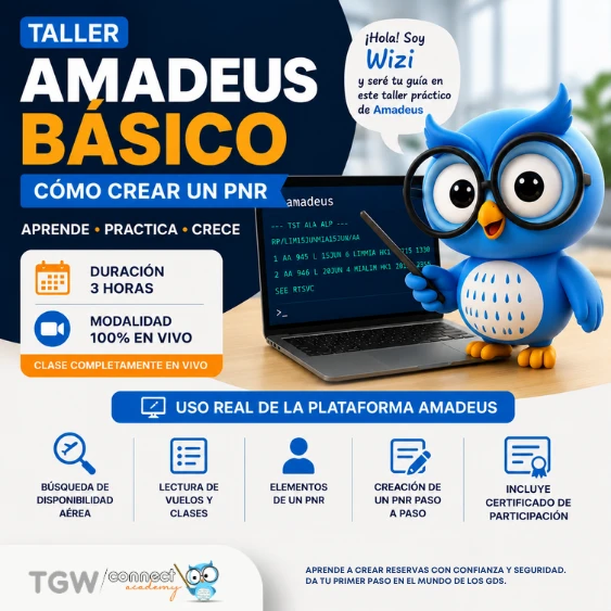 TALLER AMADEUS BASICO